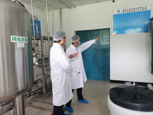 駐廠服務專班推進 虎林速度助推制藥項目提速增效的教育咨詢服務實踐